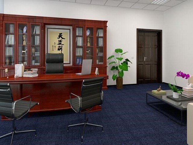 江苏美国BRAYS6A定位器售价